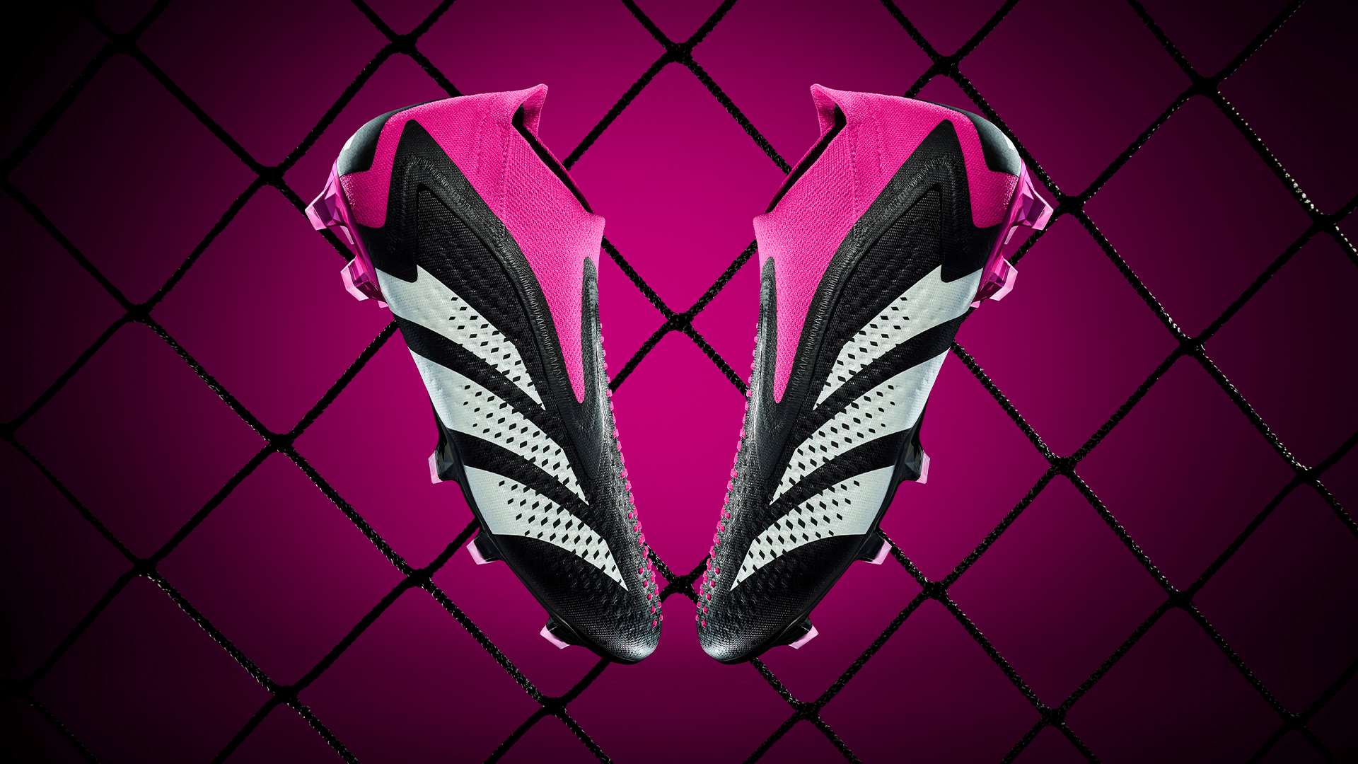 曼联在欧冠 曼联在欧冠