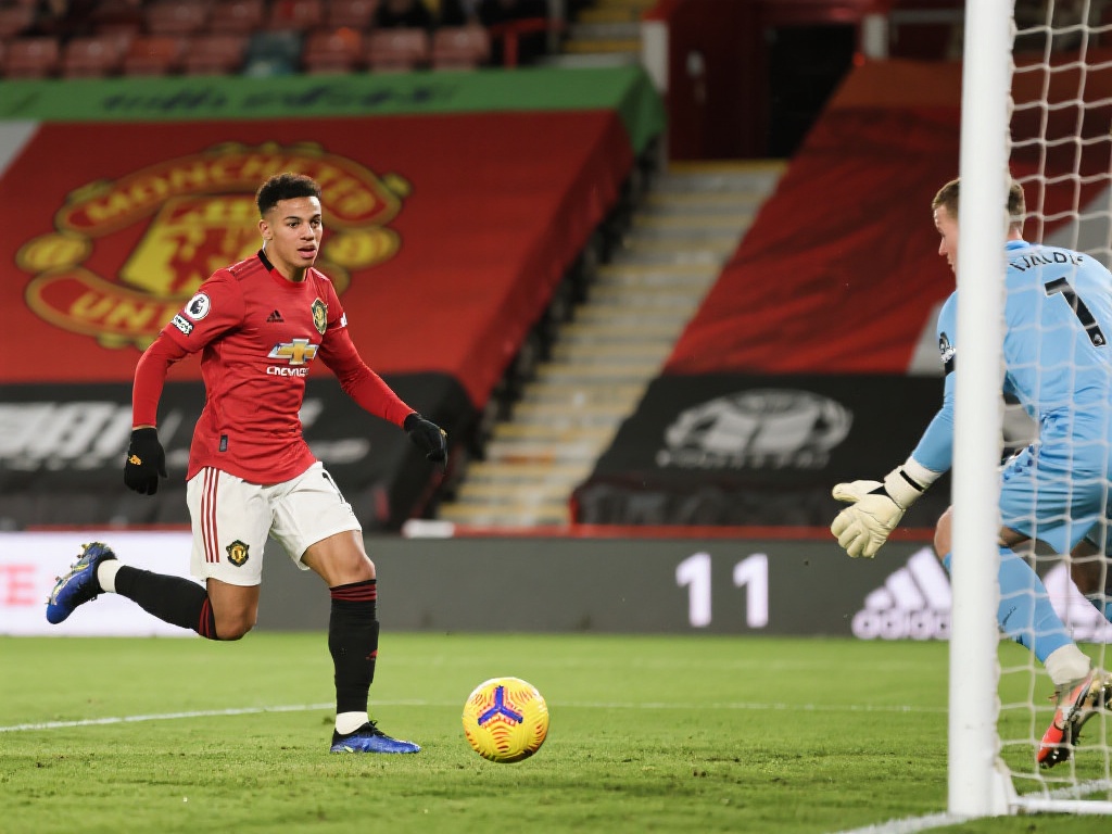 不仅提升了 不仅提升了